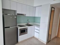 Eight Riversuites (D12), Condominium #476990871